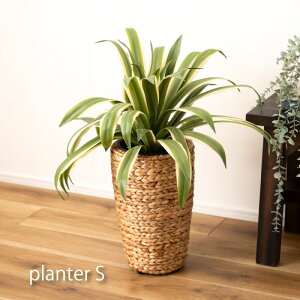 v^[ nC^Cv S 5p v^[P[X ϗtA CeA  EH[^[qVX ͓I ȒP J G AWA Vv k  i`  ^ ҂ u