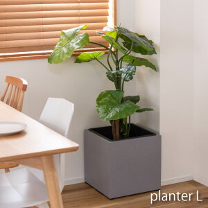 v^[  _ C_XgA Vv O[ A ϗtA AWX^[t CeA ` 9p k  i` X^CbV ACe v^[P[