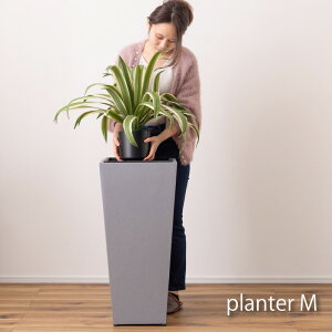 v^[ nC^Cv M  _ C_XgA Vv O[ A ϗtA AWX^[t CeA k  i` X^CbV ACe v^[P[