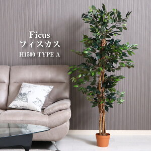 ϗtA tBJX 690 A tFCNO[ A  O[  A CeA K[fjO  K[f JtF rO v^[ Mtg v[g 蕨 ItBX  