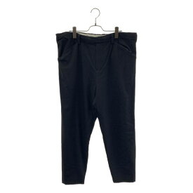 SUNSEA / サンシー | SNM-BLUE2 PANTS ウール イージー テーパードパンツ | 2 | ブラック | メンズ