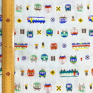 y_uK[[nzgC dԕ Fn110cmi50cmPʁjRXeLX^C