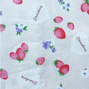 yȃIbNXnz CG[n 110cmi50cmPʁj