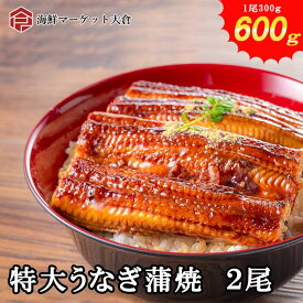 最安値に挑戦 うなぎ 特大サイズ 600g 送料無料 2尾入 肉厚&特大 約300g1尾で約3人前【クーポンで更にお得】鰻　ウナギ 老舗水産会社の自社ブランド