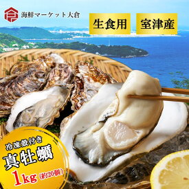 生食用　殻付き牡蠣　兵庫県室津産　1kg　約20個入り　カキ　牡蠣　かき　旨味たっぷり　新鮮　業務用