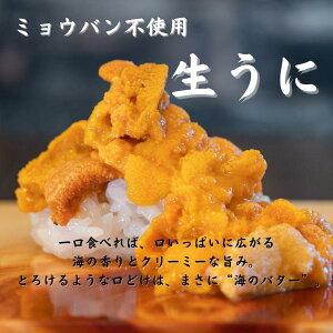  200g100g×2 Ej _O Y ~Eosgp yNNnw薳zs Ɩp `Y 󂠂 Y Ε