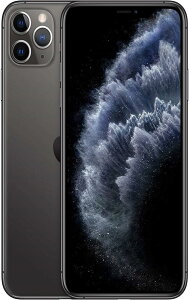 �y�����ςݕi�z Apple iPhone 11 Pro Max 256GB �X�y�[�X�O���[ SIM�t���[ (�����ςݕi)