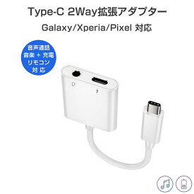 楽天市場 2in1 ケーブル Type Cの通販