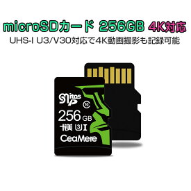 SSL MicroSDカード 256GB UHS-I V30 超高速 最大95MB/sec 3D MLC NAND採用 ASチップ 高耐久 MicroSD マイクロSD microSDXC 300x SDカード変換アダプタ USBカードリーダー付き 6ヶ月保証