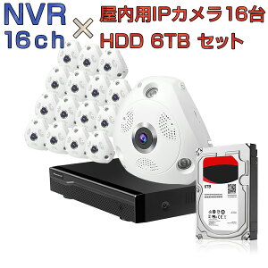 NVR ネットワークビデオレコーダー 16ch HDD6TB内蔵 C61S 2K 1296p 300万画素カメラ 16台セット IP ONVIF形式 スマホ対応 遠隔監視 FHD 動体検知 同時出力 録音対応 H.265+ IPカメラレコーダー監視システム PSE認証 6ヶ月保証