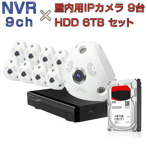 NVR ネットワークビデオレコーダー 9ch HDD6TB内蔵 C61S 2K 1296p 300万画素カメラ 9台セット IP ONVIF形式 スマホ対応 遠隔監視 FHD 動体検知 同時出力 録音対応 H.265+ IPカメラレコーダー監視システム PSE