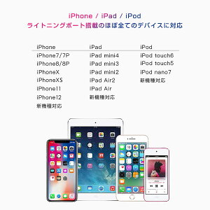 ライトニング変換ケーブル