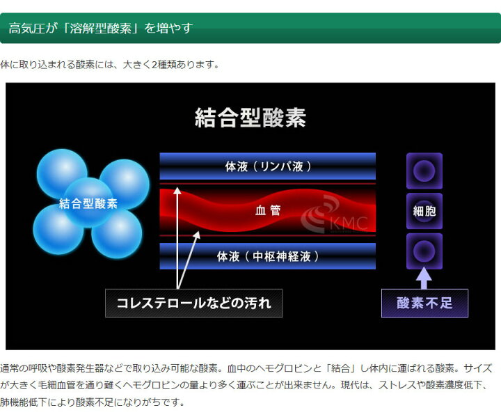 楽天市場】オキシリウム【OXYRIUM】【1.3気圧】【酸素カプセル】【家庭 