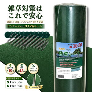 �h���V�[�g 300g/m2 �����x �s�D�z �y�P�i�E�{�H�Z�b�g�I���z1m×30m 1m×50m 2m×50m �T���v������ �Ռ���99.9% ������ PET�f�� ������ �� �ʘH �G���΍� �Œ�s�� ���b�V���[ ��C�e�[�v�t���Z�b�g
