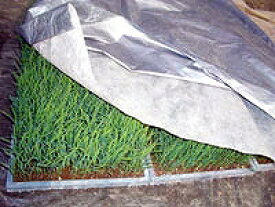 シルバーホッカ　2.3×10m　水稲育苗用保温シート