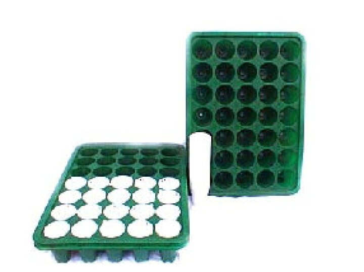 楽天市場】【取寄品】すくすくトレイ 35穴20枚入りケース販売 
