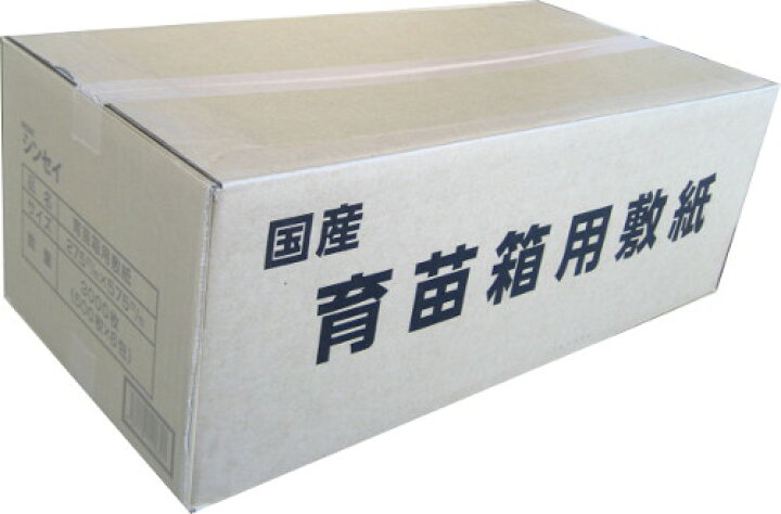 直営店 育苗箱用敷紙 国産 500枚入り 6セット 275mm 575mm 田植え 水稲 農業 農作業 家庭菜園 育苗 シn直送 Hanuinosato Jp