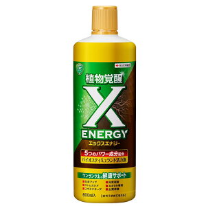 ZFw|X-ENERGYiGbNXGiW[j 600ml