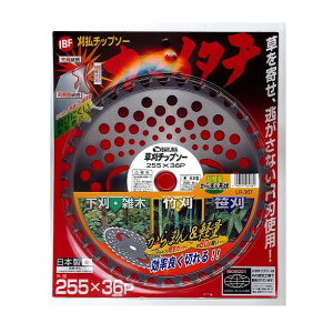 ACr[Gt@J}C^`@܂񁕌yʁ@`bv\[@Oa255mm×n36P