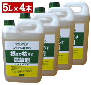 OzT[g ܂Ō͂炷5L×4{ZbgyP[Xz