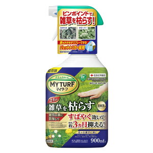 ZFw|}C^[tVoj[hV[DX900ml