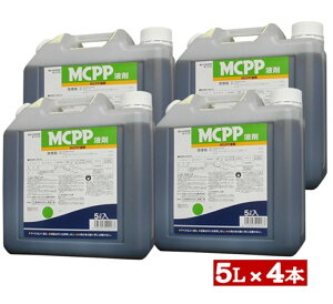 MCPPt܁@5L×4{ZbgyP[X̔z