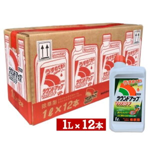 EhAbv}bNX[h1L×12{̃P[X̔