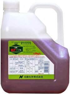 ���i�摜