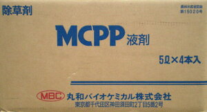 MCPPt܁@5L×4{ZbgyP[X̔z