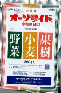 y[֔zzI[\TCha80@@250g