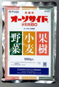 y[֔zzI[\TCha80@500g