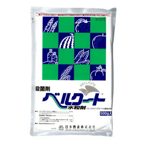 xN[ga܁@500g