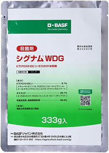 yiz@y[֔zzVOiWDG@333g