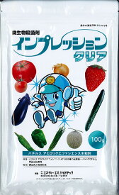 インプレッションクリア　100g