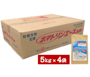 l}gG[X5kg×4܁yP[X̔z