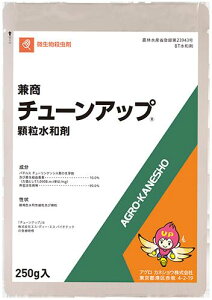 y[֔zzyiz`[Abva܁@250g