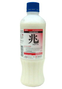 ijtAu@500ml×20{yP[X̔z