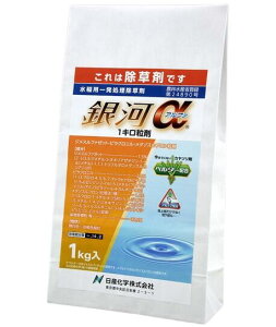 ��̓�1�L�����܁@1kg�y�L������28�N10���z