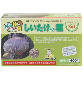 �X�Y�Ɓ@�����������400�����