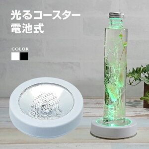 LED R[X^[ ی^ {̃J[S2F R[X^[ ~` LED  n[oEp Cg X^h Ɩ CgAbv o Nu o[ Cxg p[eB[ObY  I 