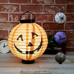 ハロウィン カボチャ 種の人気商品 通販 価格比較 価格 Com