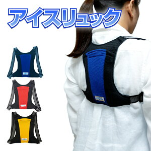 ACXbN ^e^ [ 004 ] c20cm×15.5cm F ԐF F ۗ2_t JԂp MǑ΍ ΍ p qObY Ђ