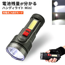 LED 小型 懐中電灯 usb 充電式 防水 LEDライト ハンディライト 作業灯 ワークライト 散歩 アウトドア 照明 防災グッズ 停電 登山 携帯 軽い 最強 明るい コンパクト ミニ