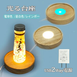  ؐ 3F ی^(100mmt) LED  LED X^h USB A_v^[t CgAbv u R[X^[ fBXvC Ɩ  n[oE NX^