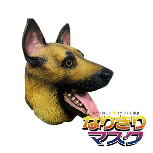 T}XN Aj}}XN TRXv o[}XN ϑObY  蕨 nEB    ~ w| w