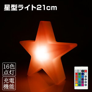 CeACg  21cm S16F [d Rt h  LED Ɩ ^ p[eB NX}X Nu IuWF AEghA ԐڏƖ o[ Mtg  [Cg Lint