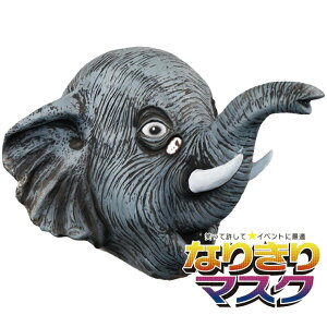 Aj}}XN  }X Ԃ  蕨    nEB o[}XN p_  F CI T ϑObY ~ Unique