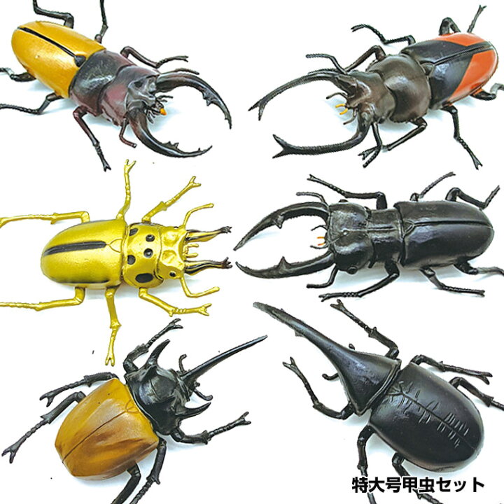 楽天市場】カブトムシ クワガタ 昆虫 セット 甲虫 大きい リアル 