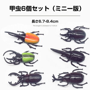 JugV NK^  Zbg b ~j[ A A ͌^ tBMA RNV