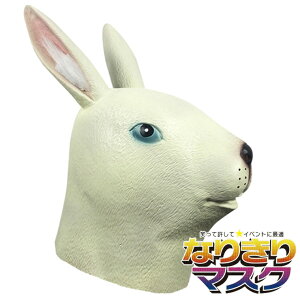 ETM e }XN 킢  }XN Ԃ 蕨  ϑ  LN^ RXv RX`[ ʋ Aj} Unique